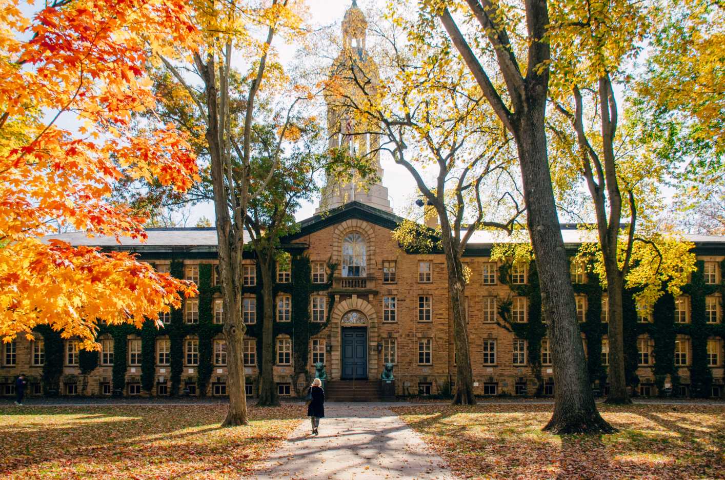 Cornerstone Education